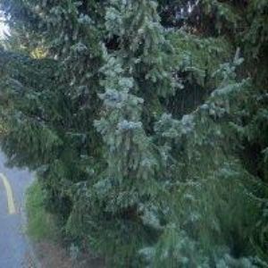 obrazek: avatar SMOLÍK LUDĚK-LUNUX.NET