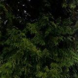 KANCELÁŘSKÁ TECHNIKA UNO, s.r.o.