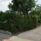 BÍM JINDŘICH Ing.-MULTIMEDIA