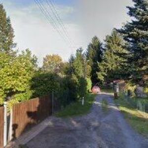 obrazek: avatar SIGNUM COMPUTERS