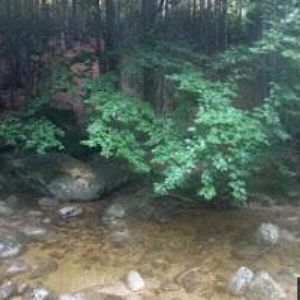 obrazek: avatar POČÍTAČE PROVAZNÍK