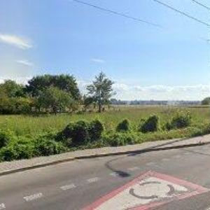 obrazek: avatar BRANDEJSKÝ MILAN