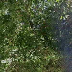 obrazek: avatar SMOLÍK SERVIS