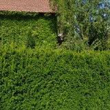 KUBÍK JAN-HOK POČÍTAČE