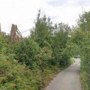 obrazek: avatar LIŠKA LADISLAV