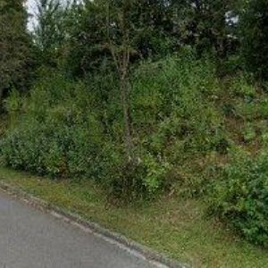 obrazek: avatar TOMŠŮ MIROSLAV