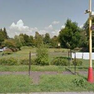 obrazek: avatar SIMON