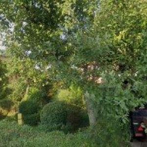 obrazek: avatar POMKLA JOSEF-JOPOS