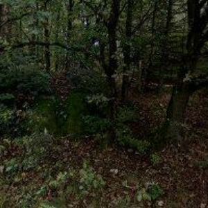 obrazek: avatar GYM s.r.o.