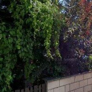 obrazek: avatar DIGITALIZACE U BULDOČKA