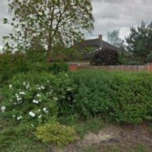 obrazek: avatar SERVIS POČÍTAČŮ-OK