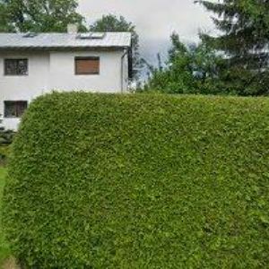 obrazek: avatar KYNCL VLASTIMIL