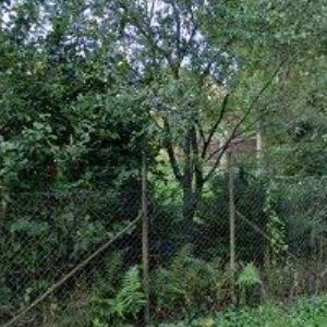 obrazek: avatar KOMPSERVIS