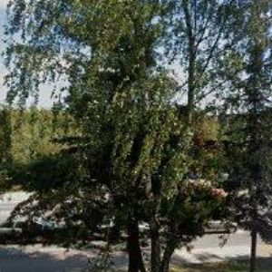 obrazek: avatar MUDRÝ ROMAN-SERVIS PC