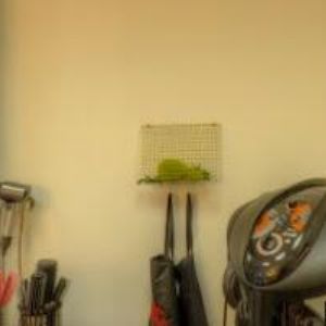 obrazek: avatar NTBSERVIS.CZ