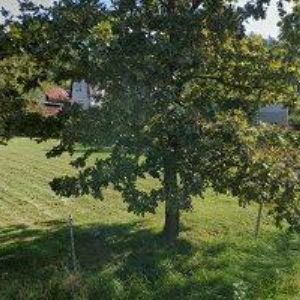 obrazek: avatar EXMIND s.r.o.