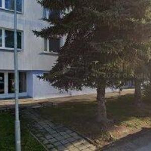 obrazek: avatar ZAJÍC PETR