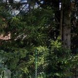 BUDAI JAN-ELEKTROPROJEKTANT