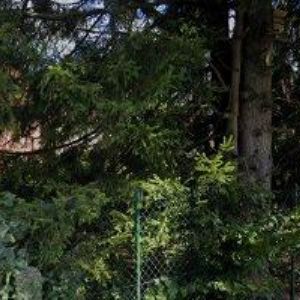 obrazek: avatar BUDAI JAN-ELEKTROPROJEKTANT