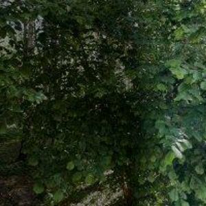 obrazek: avatar SAPERTA s.r.o.