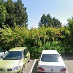 obrazek: avatar MAKA.CZ