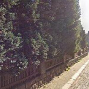 obrazek: avatar FUKÁREK MILAN