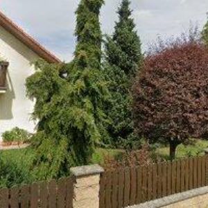 obrazek: avatar EWM CONSULTING s.r.o.