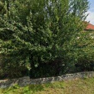 obrazek: avatar ŠIMEK MATĚJ