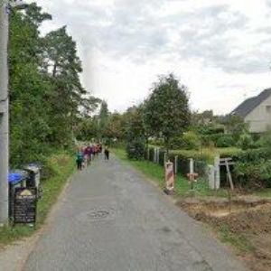 obrazek: avatar DX-NET