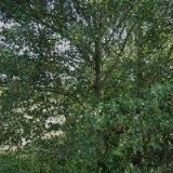 DGS DRUCKGUSS SYSTEME s.r.o.