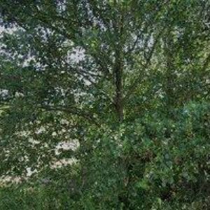 obrazek: avatar DGS DRUCKGUSS SYSTEME s.r.o.