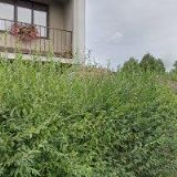 BM ELEKTRICKÉ NÁŘADÍ