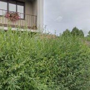 obrazek: avatar BM ELEKTRICKÉ NÁŘADÍ