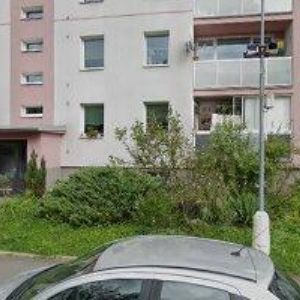 obrazek: avatar ELAAOS WEB DESIGN