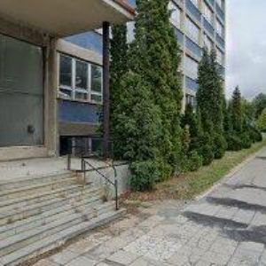 obrazek: avatar DOGFISH