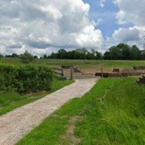 obrazek: avatar DREAMSITES