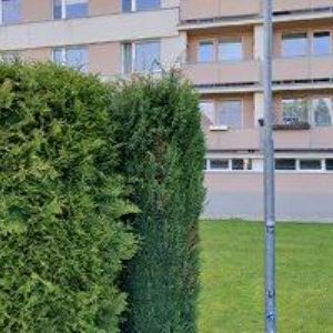 obrazek: avatar HARRACHNET.CZ