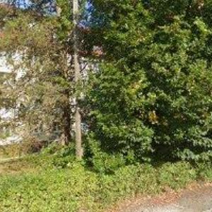 obrazek: avatar FABIÁN PETR Ing.-WEB ZA HUBIČKU