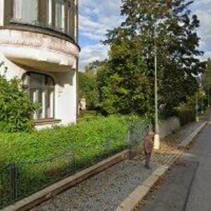 obrazek: avatar PENTIMENTI