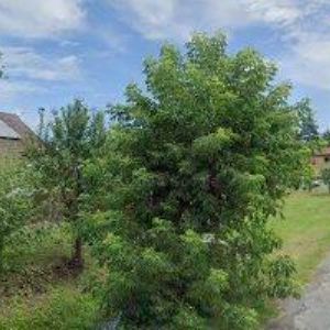 obrazek: avatar TOM-SERVICE