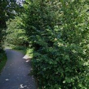 obrazek: avatar VAL DI SOLE