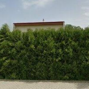 obrazek: avatar ŠETŘIČE.EU