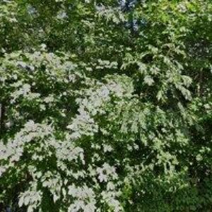 obrazek: avatar KONERO, s.r.o.