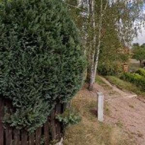 obrazek: avatar STŘECHY MORÁVEK