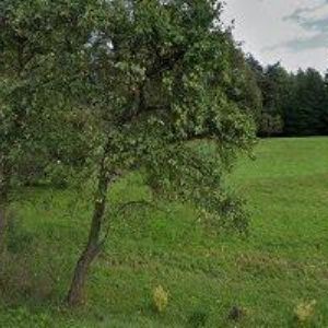 obrazek: avatar GE-PA, spol. s r.o.