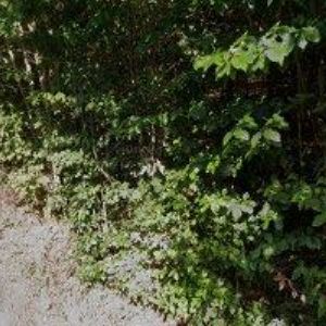 obrazek: avatar MHM FASHION, s.r.o.