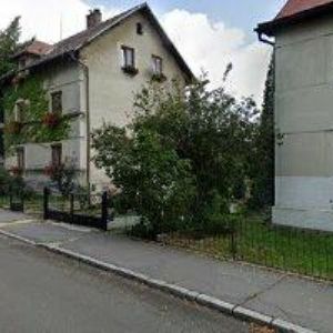 obrazek: avatar DOŠKÁŘ BORIS-GOLD BOHEMIA