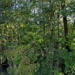 obrazek: avatar FASHION STYLE-POSTFORMING ELEMENTE, s.r.o.