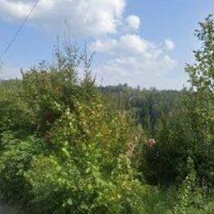 obrazek: avatar ROSKOVEC DAVID-VITRÁŽE