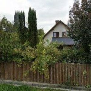 obrazek: avatar FLANDERKA TOMÁŠ